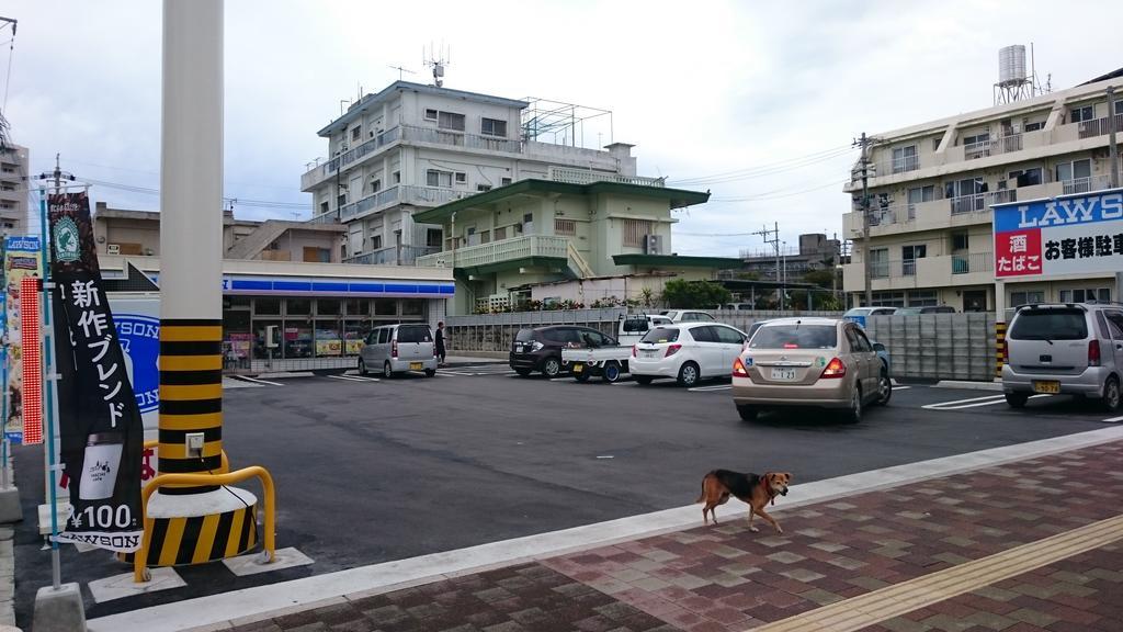 Koza Share House Hotell Okinawa Exteriör bild
